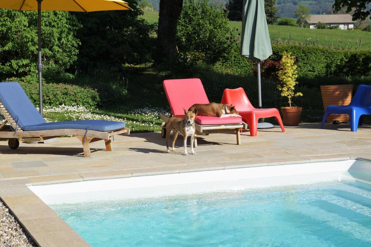 Domaine De Saint Loth' B&B 외부 사진